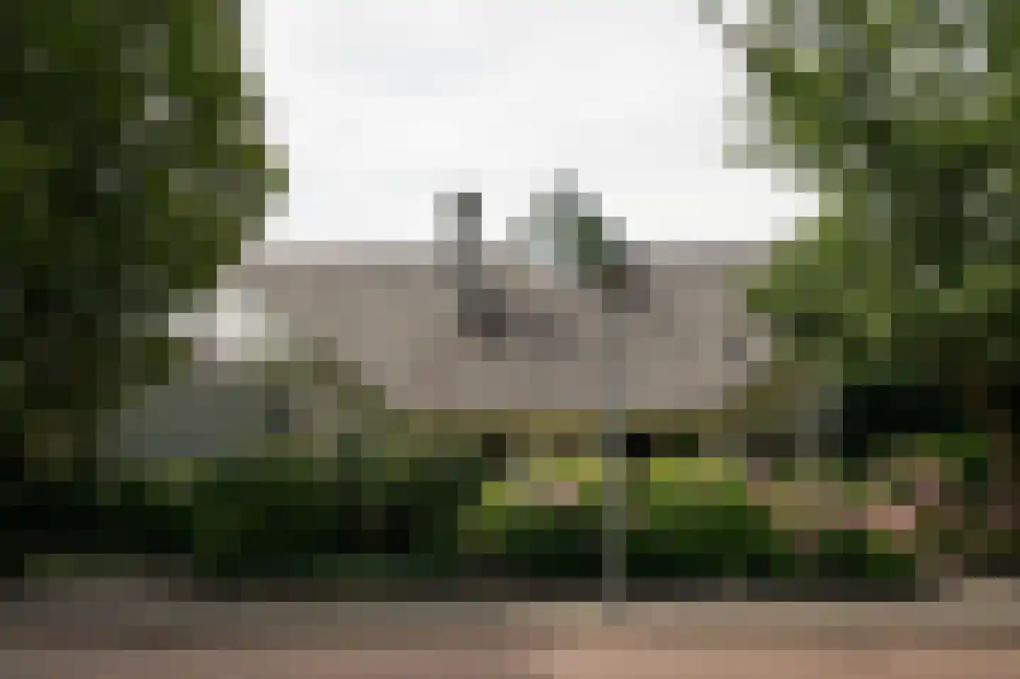Groenwal 25 Zaltbommel thumbnail 81