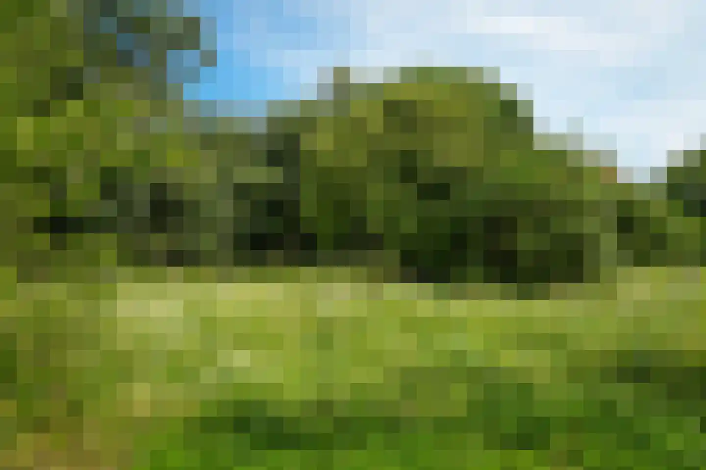 Groenwal 25 Zaltbommel thumbnail 87