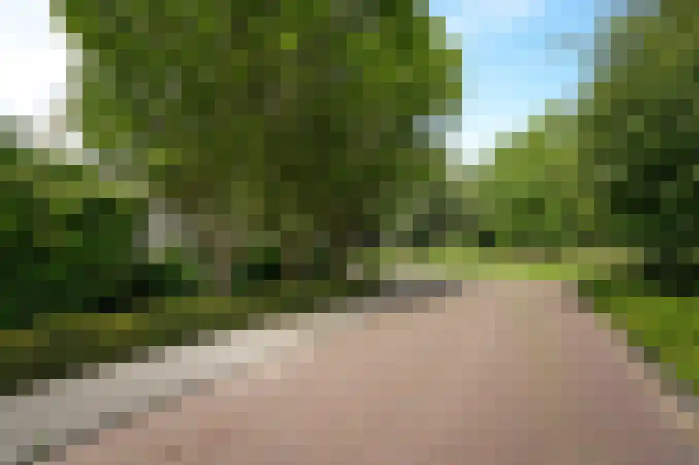 Groenwal 25 Zaltbommel thumbnail 88