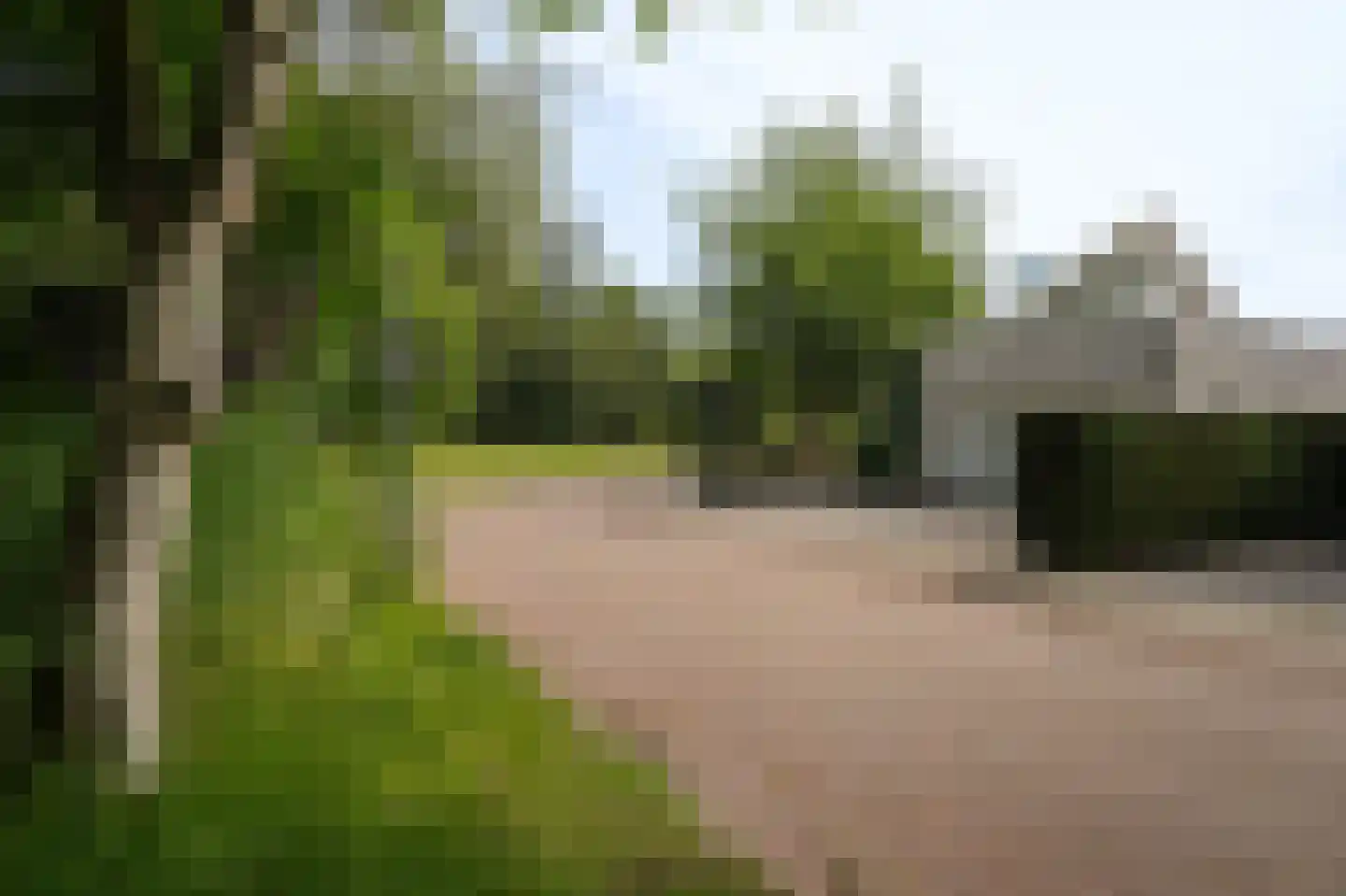 Groenwal 25 Zaltbommel thumbnail 90