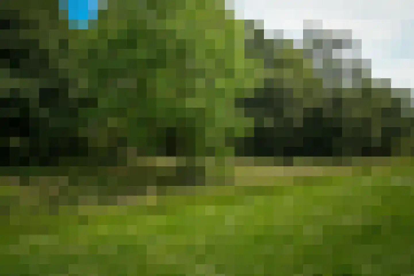 Groenwal 25 Zaltbommel thumbnail 91