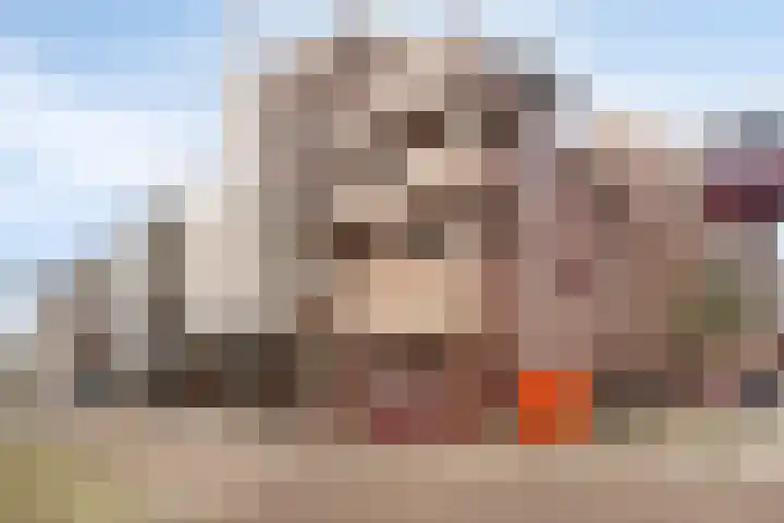 Groenweegje 100 Schiedam thumbnail 22
