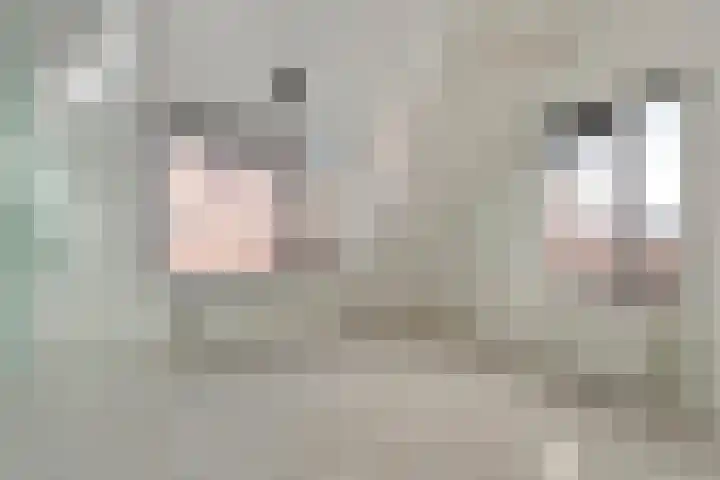 Groenweegje 100 Schiedam thumbnail 5