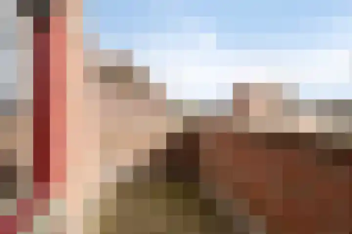 Groenweegje 100 Schiedam thumbnail 6