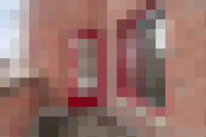 Groenweegje 100 Schiedam thumbnail 8