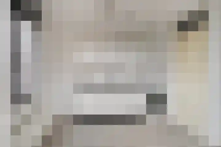 Groenweegje 100 Schiedam thumbnail 9