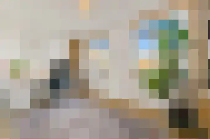Groenweegje 33 Schiedam thumbnail 24