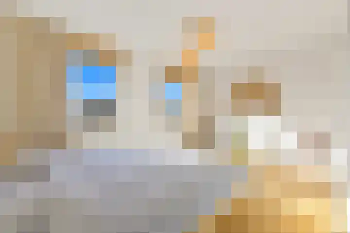 Groenweegje 33 Schiedam thumbnail 30