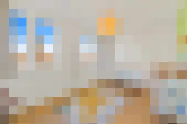 Groenweegje 33 Schiedam thumbnail 36