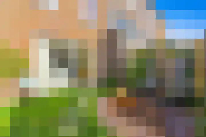 Groenweegje 33 Schiedam thumbnail 4