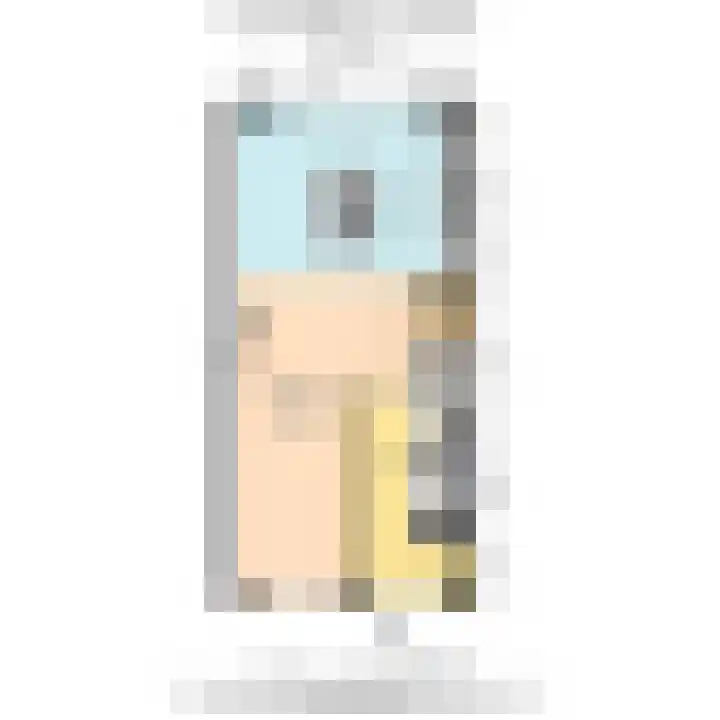 Groenweegje 33 Schiedam thumbnail 48