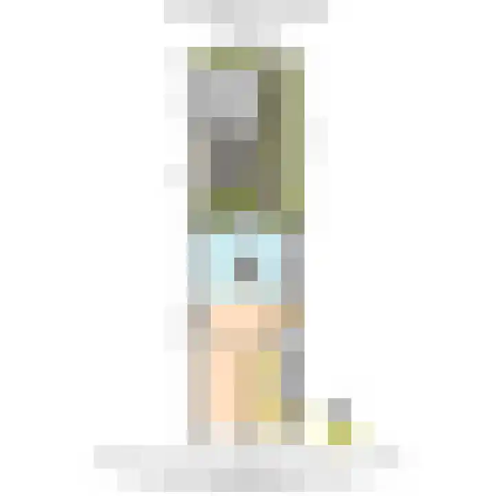Groenweegje 33 Schiedam thumbnail 54