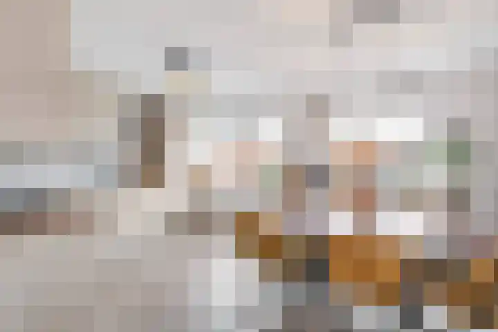 Groenweegje 52 Schiedam thumbnail 16