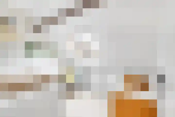 Groenweegje 52 Schiedam thumbnail 27