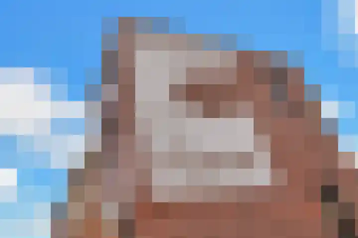 Groenweegje 52 Schiedam thumbnail 37