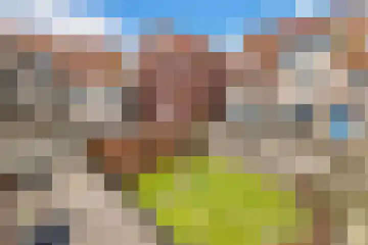 Groenweegje 52 Schiedam thumbnail 5