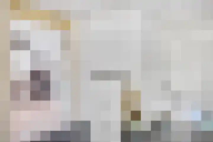 Groenweegje 52 Schiedam thumbnail 8