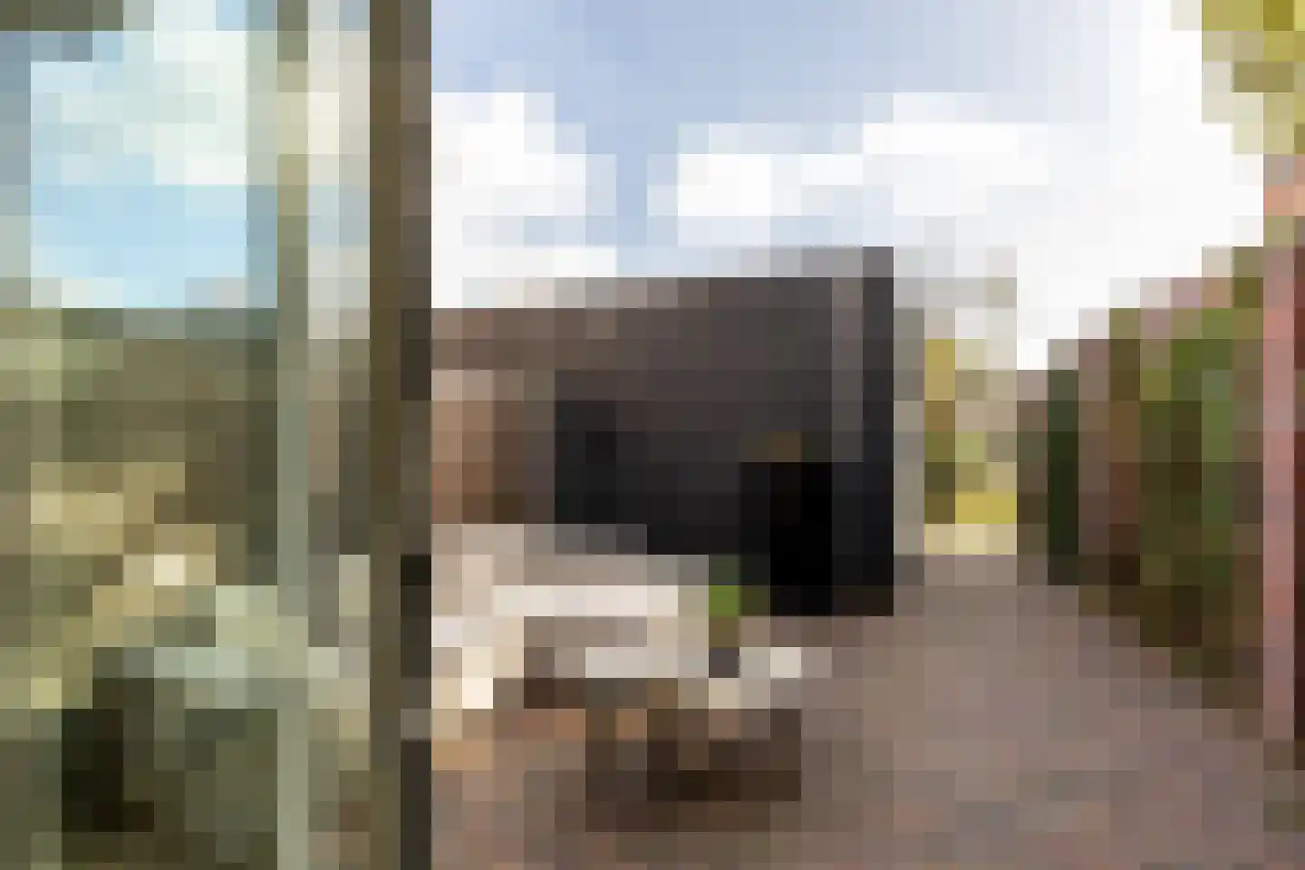 Groenweegje 53 Schiedam thumbnail 8