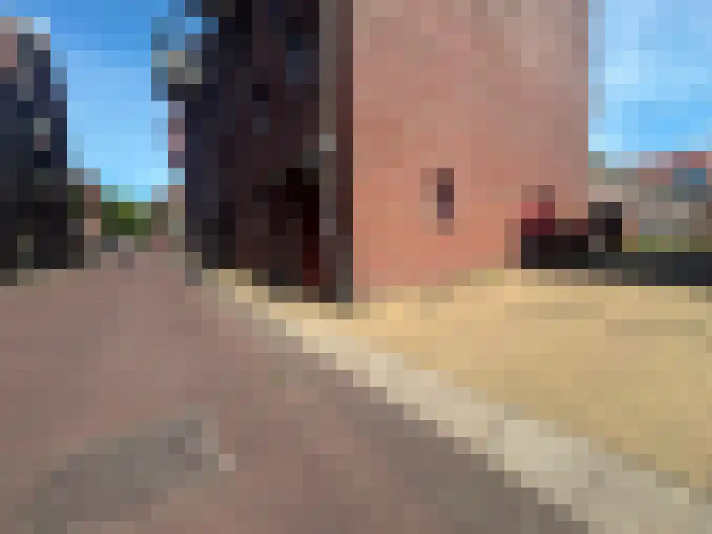 Groenweegje 92 Schiedam thumbnail 9