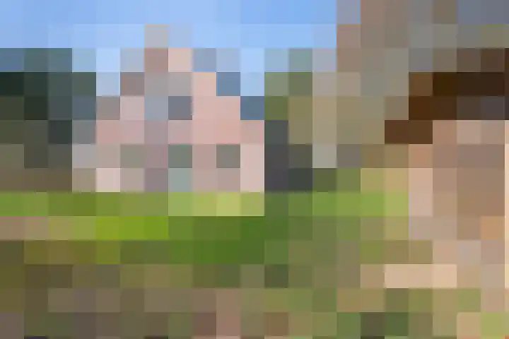 Groeperweg 2 Renswoude thumbnail 38