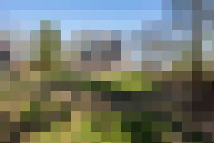 Groeperweg 2 Renswoude thumbnail 40