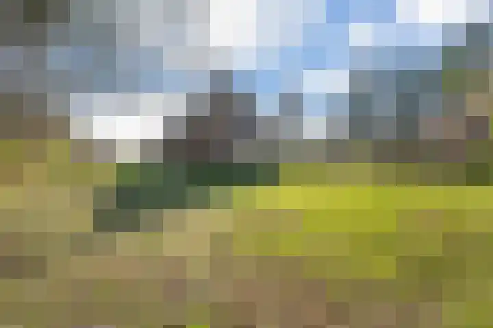 Groeperweg 2 Renswoude thumbnail 41