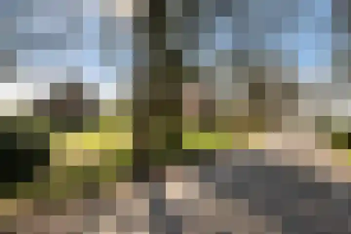 Groeperweg 2 Renswoude thumbnail 44