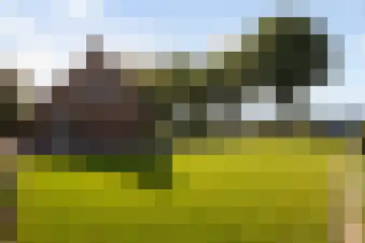 Groeperweg 7 Renswoude thumbnail 25