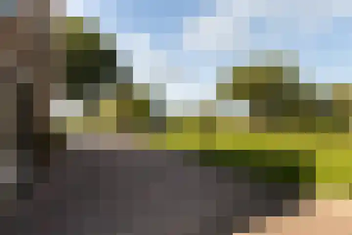 Groeperweg 7 Renswoude thumbnail 26