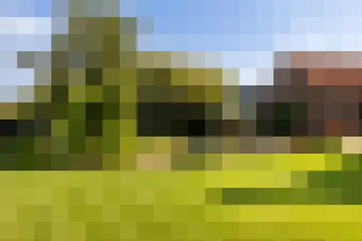 Groeperweg 7 Renswoude thumbnail 30