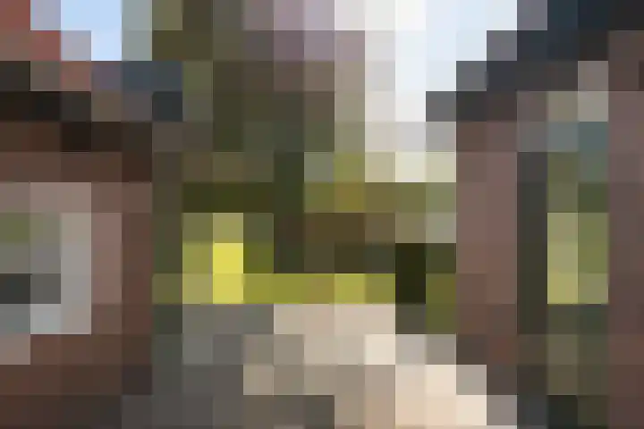 Groeperweg 7 Renswoude thumbnail 34