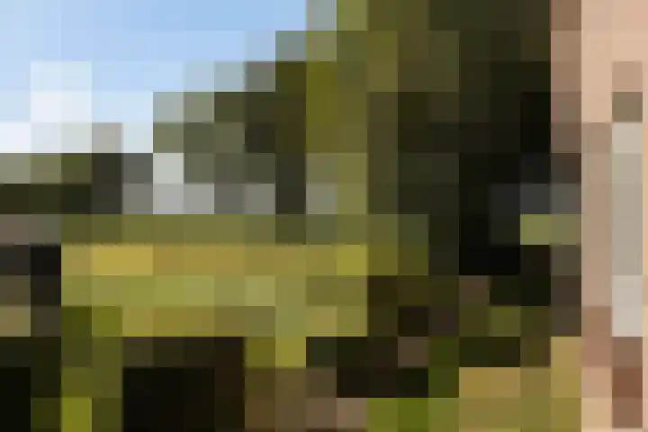 Groeperweg 7 Renswoude thumbnail 36