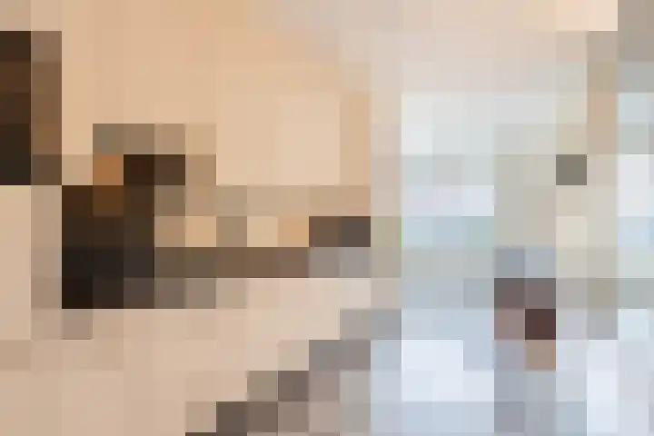 Groepsekom 3 Leusden thumbnail 11