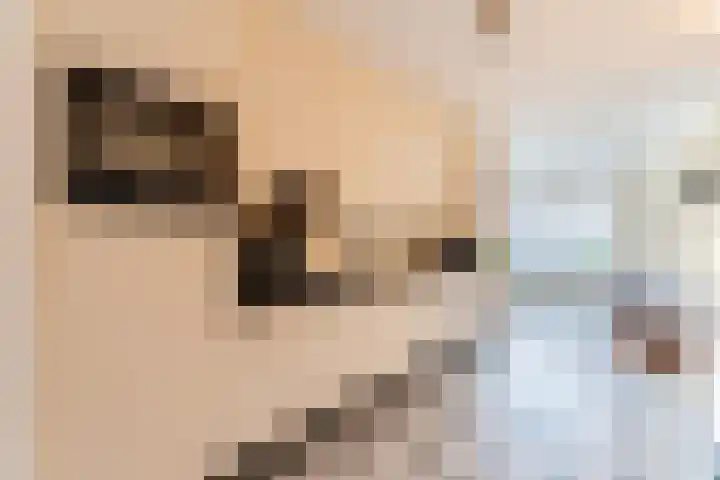 Groepsekom 3 Leusden thumbnail 12