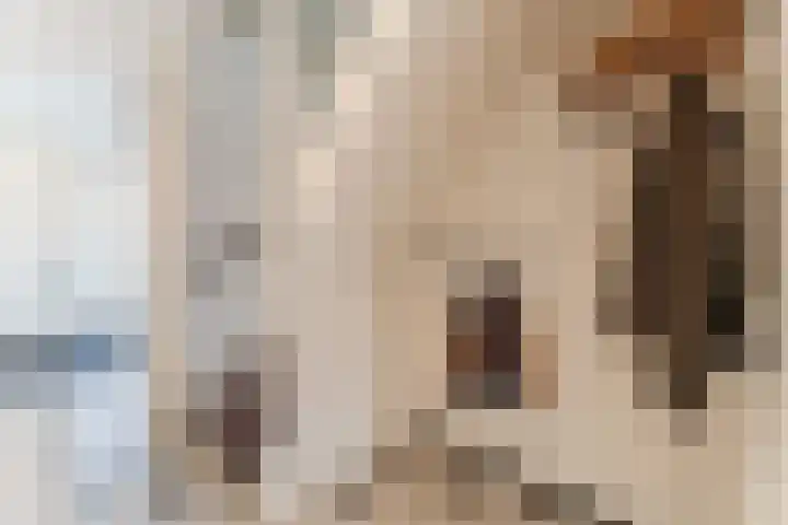 Groepsekom 3 Leusden thumbnail 20