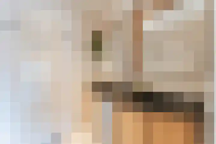 Groepsekom 3 Leusden thumbnail 26