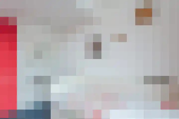 Groepsekom 3 Leusden thumbnail 44