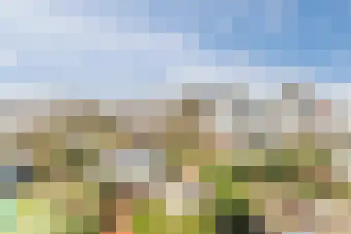 Groepsekom 3 Leusden thumbnail 47