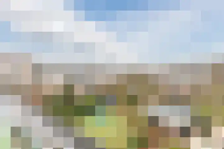 Groepsekom 3 Leusden thumbnail 48