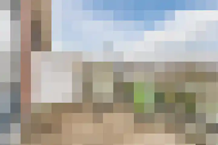 Groepsekom 3 Leusden thumbnail 50