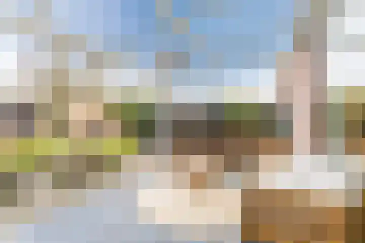 Groepsekom 3 Leusden thumbnail 51