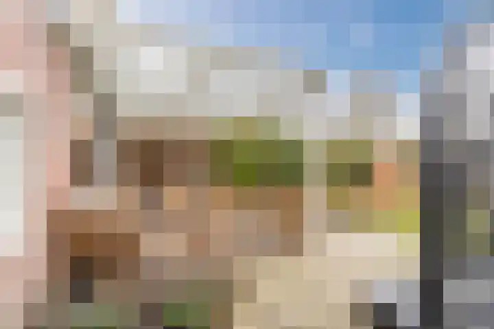 Groepsekom 3 Leusden thumbnail 53