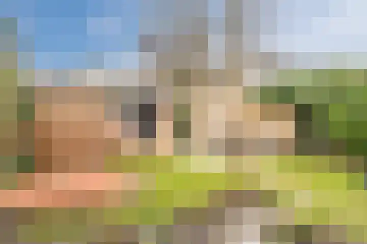 Groepsekom 3 Leusden thumbnail 55