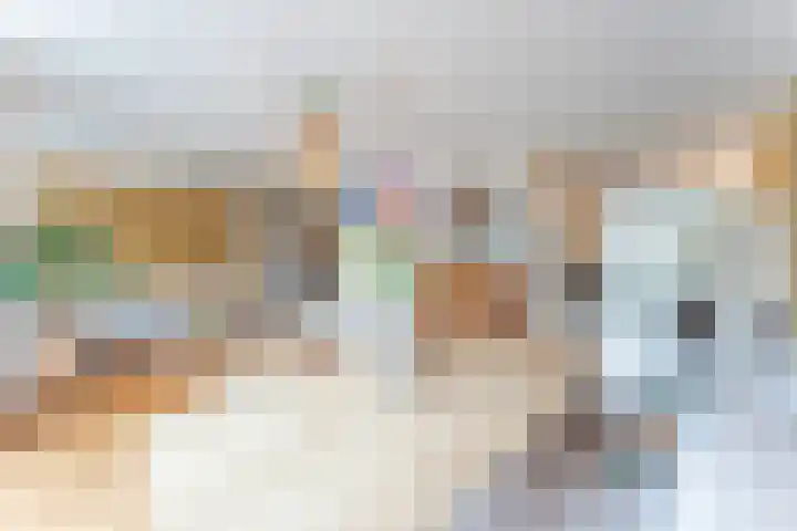 Groepsekom 3 Leusden thumbnail 9