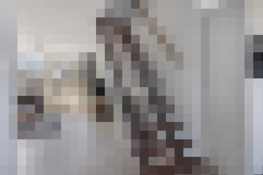 Groes 15 Eindhoven thumbnail 12