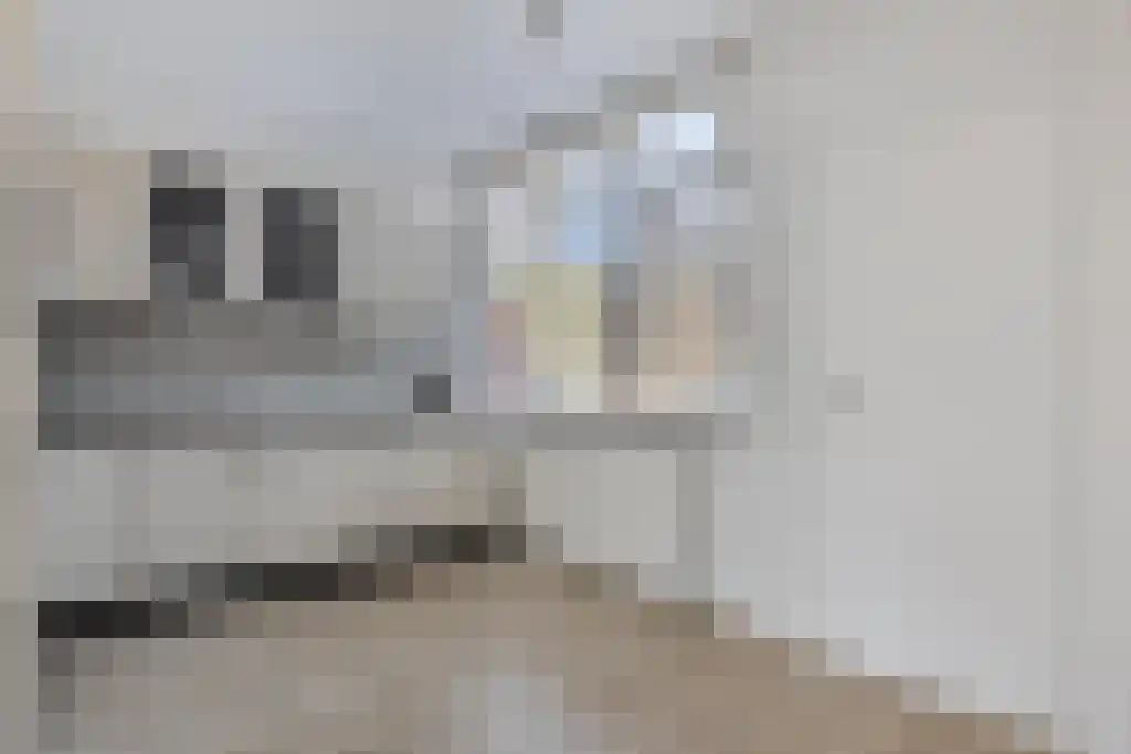 Groes 15 Eindhoven thumbnail 13