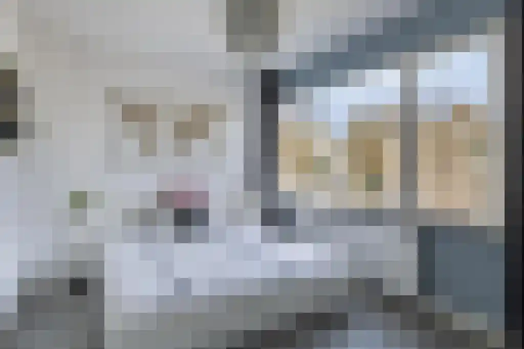 Groes 15 Eindhoven thumbnail 19
