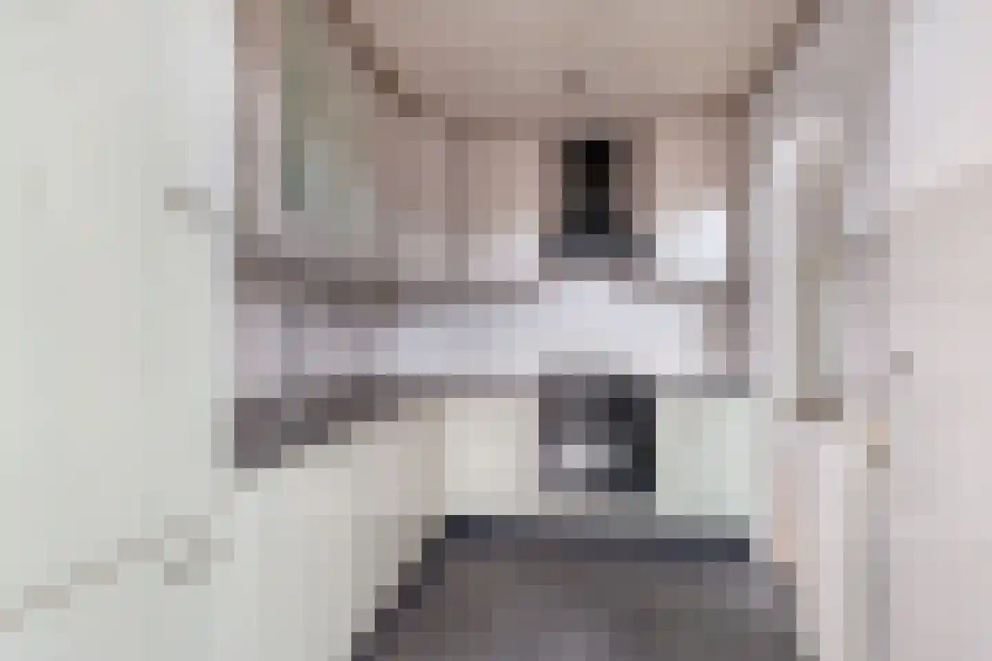 Groes 70 Eersel thumbnail 16