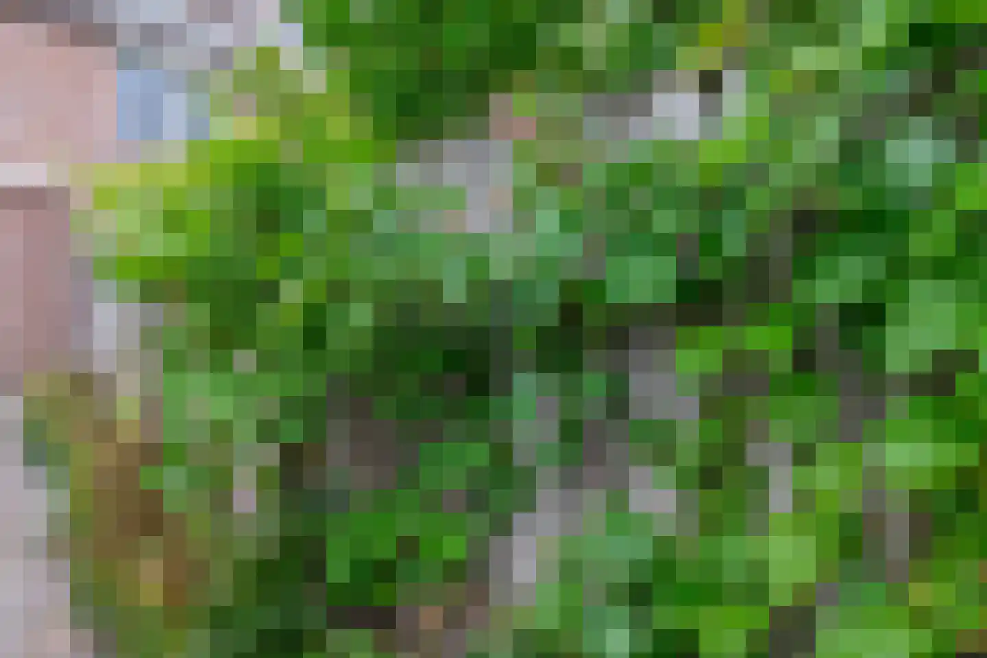 Groes 70 Eersel thumbnail 43