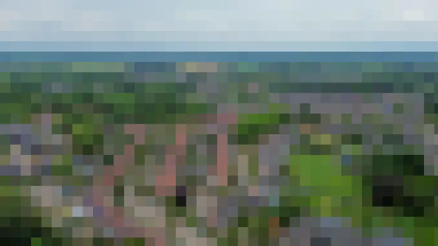 Groes 70 Eersel thumbnail 70